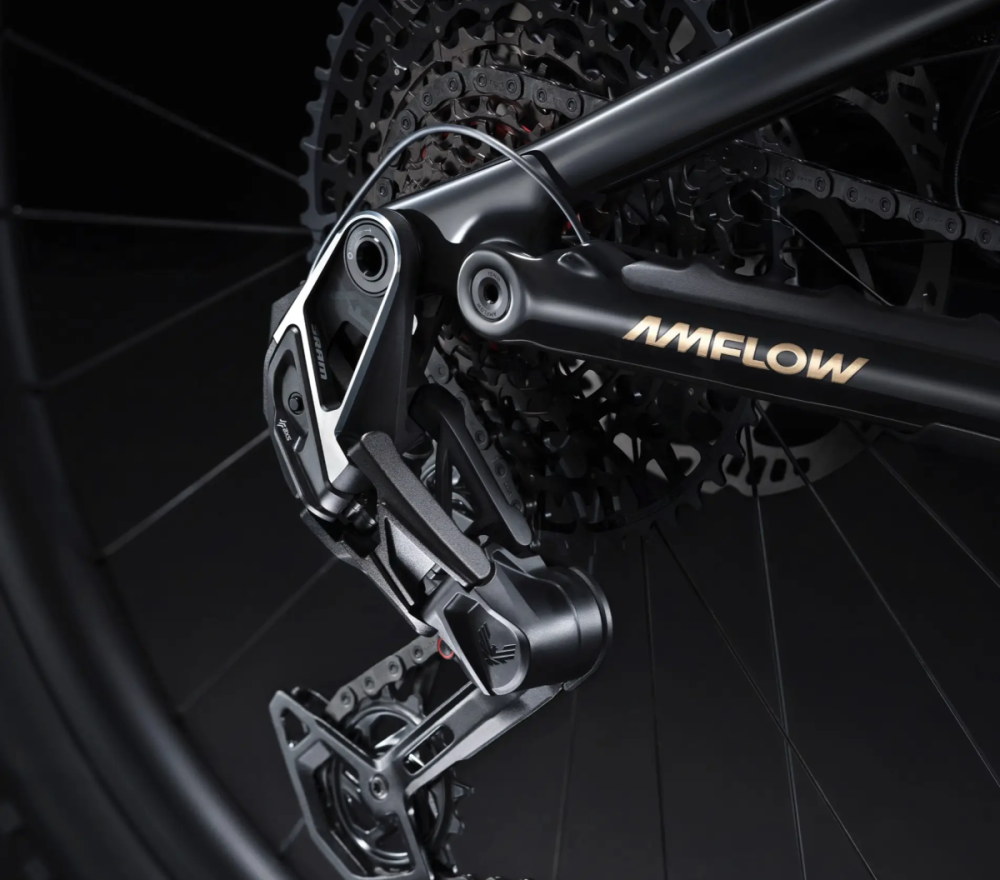 AMFLOW PL Carbon TESTBIKE