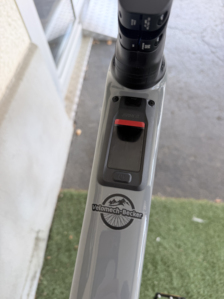 Velduro Phantom S (L) Edition Speedweapon